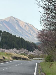 春を見っけ。桜　その３