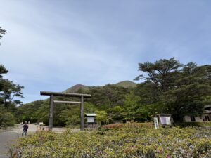 霧島山　高千穂河原付近のツツジ開花状況  ５月２日（土）現在