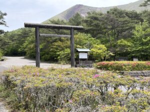 高千穂河原付近のツツジ開花状況  ５月９日（土）現在