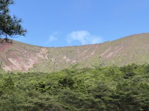 霧島山　高千穂河原付近のツツジ開花状況  ５月２９日（金）現在