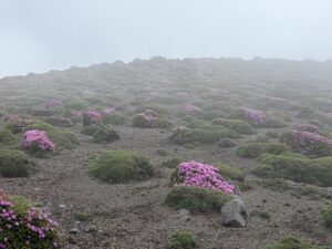 トレッキング５０  勇気ある撤退高千穂峰　リハビリ登山５０